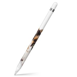 Apple Pencil 専用スキンシール アップルペンシル iPad Pro ApplePen カバー フィルム ステッカー 保護  写真　動物　猫　ねこ 005939｜emart