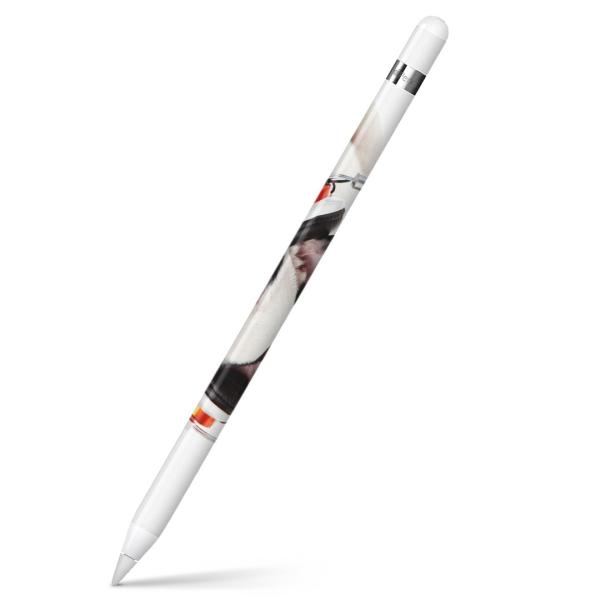 Apple Pencil 専用スキンシール アップルペンシル iPad Pro ApplePen カ...