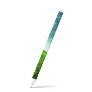 iPad Apple Pencil アップルペンシル 第2世代 ガラスフィルム Apple Pencil 第2世代 専用スキンシール アップル アップルペンシル