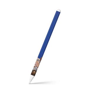 Apple Pencil 第2世代 専用スキンシール アップル アップルペンシル