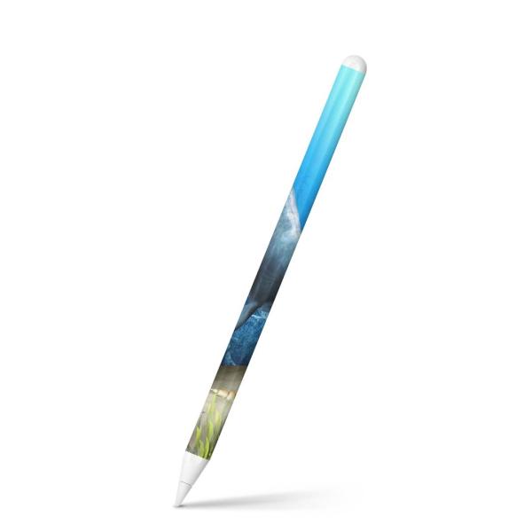 Apple Pencil 第2世代 専用スキンシール アップル アップルペンシル iPad Pro ...