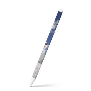 Apple Pencil 第2世代 専用スキンシール アップル アップルペンシル