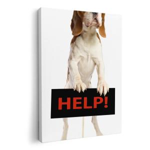 アートフレーム ビーグル/犬 クリスタルピクチャー 額絵 シルバー