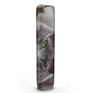 igsticker IQOS3 multi 専用 デザインスキンシール アイコス マルチ ステッカー 電子 たばこ アクセサリー 猫　動物　写真 002650