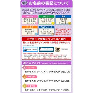 布に貼れちゃう ノンアイロン お名前シール 大...の詳細画像3