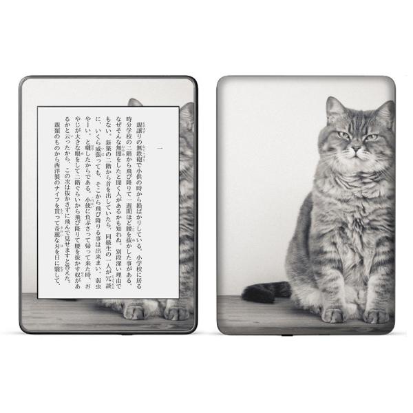 kindle paperwhite 第4世代専用 kindle第10世代 キンドル ペーパーホワイト...