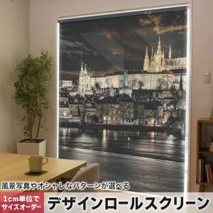 ロールスクリーン ロールカーテン オーダーメイド デザイン 006601