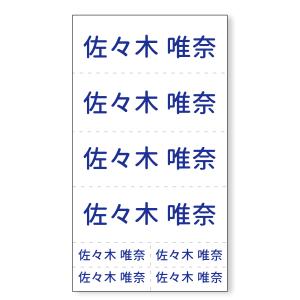 布に文字だけ貼れる!ゼッケン転写シール★ チーム...の商品画像