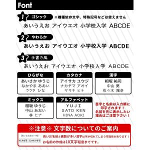 布に文字だけ貼れる!ゼッケン転写シール★ チー...の詳細画像1