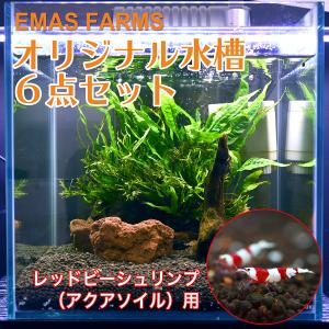 エビ飼育セット ガラス水槽 の商品一覧 水槽 熱帯魚 アクアリウム用品 ペット用品 生き物 通販 Yahoo ショッピング
