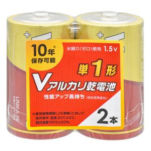 三菱 三菱電機 アルカリ乾電池『GR』単1形 LR20GR/2S (2本入×5 三菱 三菱電機 アルカリ乾電池『GR』単1形 LR20GR/2S (2本入×5
