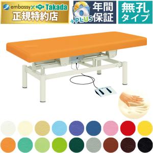 高田ベッド製作所 高田ベッド 無孔垂直電動EZタイプ TB-889