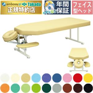 高田ベッド製作所 高田ベッド スリムドロップHD TB-1567 カイロ