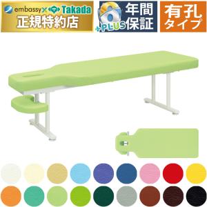 高田ベッド製作所 高田ベッド GSスリムベッド TB-559 カイロベッド 