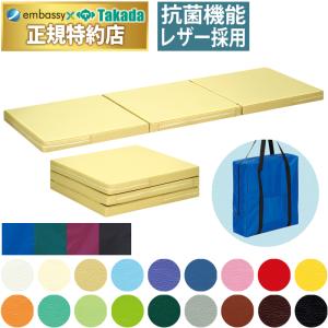 高田ベッド製作所 高田ベッド ホットシーツ TB-663 掛け敷き両対応