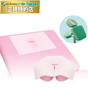 高田ベッド製作所 高田ベッド ホットマット TB-477 調節機能付き温熱