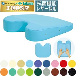 高田ベッド製作所 高田ベッド 薄型ケアーバスト（エアホール有り） TB