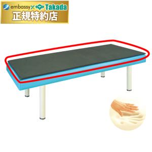高田ベッド 無孔低反発マット（ベッドは別売） TB-1238 低反発ウレタン100%採用マットレス サイズ指定に対応 マッサージベッドとの併用に｜エンバシー 高田ベッド正規特約店