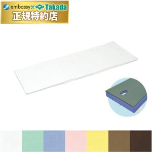 高田ベッド製作所 高田ベッド ホットシーツ TB-663 掛け敷き両対応