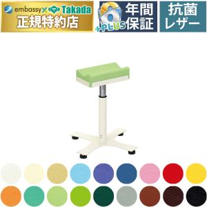 DX上肢台小 TB-885-01 高田ベッド製作所 注射台 医療用 診察室備品