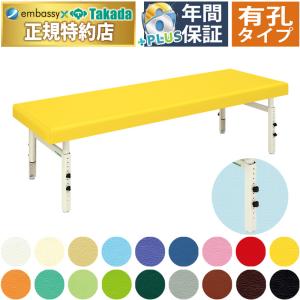 高田ベッド製作所 高田ベッド 無孔しんさつベッド TB-1590 診察台 医療