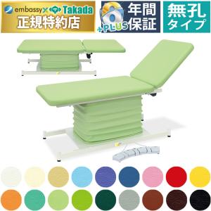 高田ベッド製作所 高田ベッド 内視鏡用電動カイザー（メモリー無し