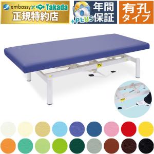 高田ベッド製作所 高田ベッド 無孔電動縦横転ハイロー TB-1618 シート