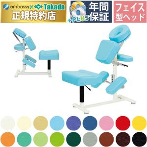 高田ベッド製作所 高田ベッド テクニカルチェアー TB-1658 カイロ