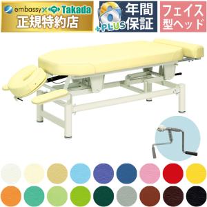 高田ベッド製作所 高田ベッド スリムドロップHD TB-1567 カイロ