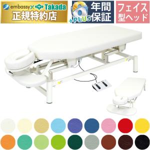 高田ベッド製作所 高田ベッド 有孔2M電動リモスホット TB-1595U 温熱