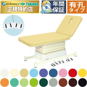 高田ベッド製作所 高田ベッド 内視鏡用電動カイザー（メモリー無し