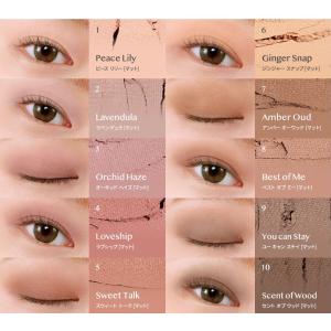 【訳あり】【無料配送】CLIO プロアイパレッ...の詳細画像1