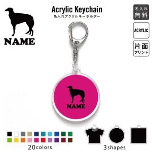 カメレオン アクリル キーホルダー 名入れ アクキー チャーム