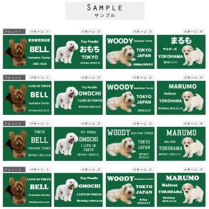 写真でつくる 我が子 愛犬のカート用サインボー...の詳細画像5