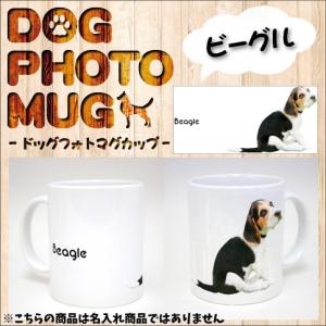 茶道具 張貫 菊花茶器 村瀬玄之作 : お茶道具の駒屋 - 通販 - Yahoo