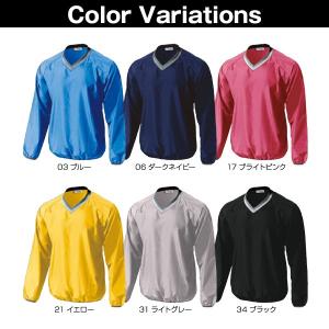 P-1280 ベーシックピステ 大人サイズ 練...の詳細画像1