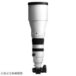 シグマ 300-600mm F4 DG OS ...の詳細画像1