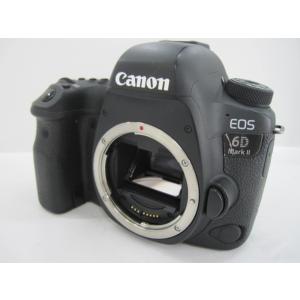 キヤノン Canon EOS 6D Mark II 標準&超望遠＆単焦点トリプルレンズ 
