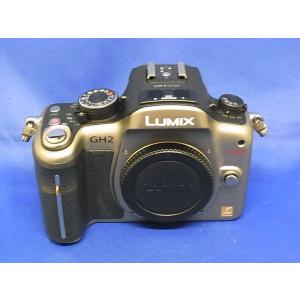パナソニック LUMIX DMC-GH2-S シルバー