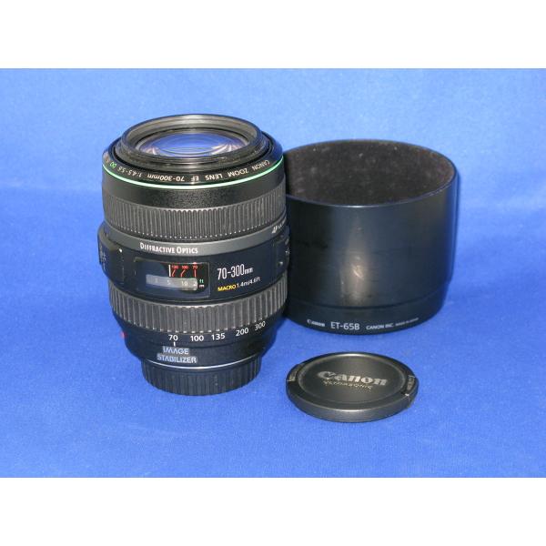 【中古】 【難あり品】 キヤノン EF70-300mm F4.5-5.6 DO IS USM