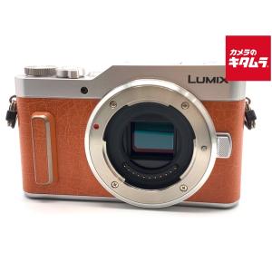 【中古】パナソニック DC-GF10 ボディの買取情報