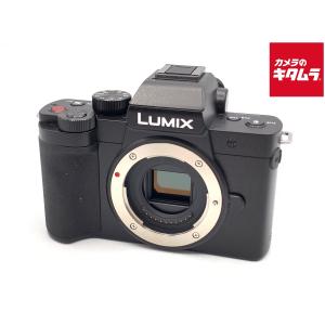 パナソニック LUMIX DC-G100D 本体