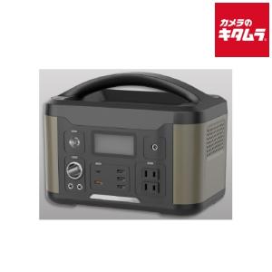 ポータブル電源 パワーバンク1000 LPE-R1000Z (1000W) 日動工業 山善