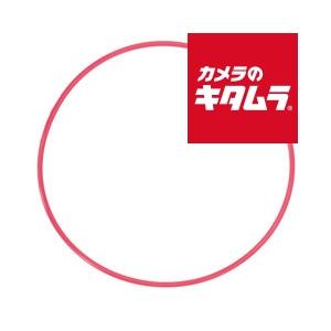 オリンパス Oリング POL-E301 《納期約１−２週間》
