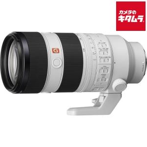 G Master [新品]【2×テレコンセット】SONY ソニー FE 70-200mm F2.8 GM