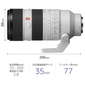 ソニー FE 70-200mm F2.8 GM...の詳細画像1