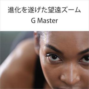 ソニー FE 70-200mm F2.8 GM...の詳細画像2