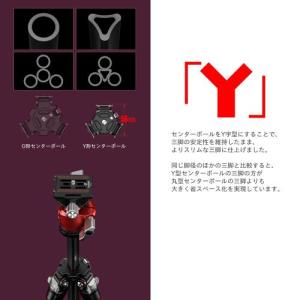 レオフォト LY-224C+LH-25R(BK...の詳細画像2