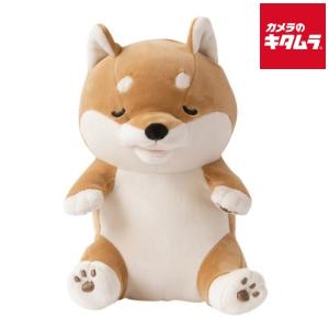 ユカイ工学 甘噛みロボット 甘噛みハムハム（コタロウ/シバイヌ）｜カメラのキタムラヤフー店