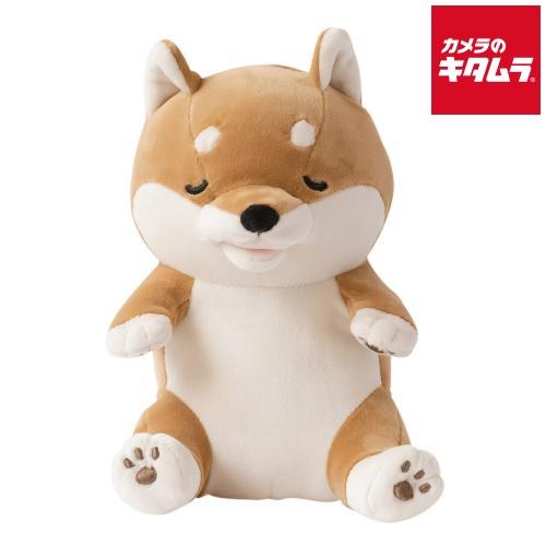 ユカイ工学 甘噛みロボット 甘噛みハムハム（コタロウ/シバイヌ）